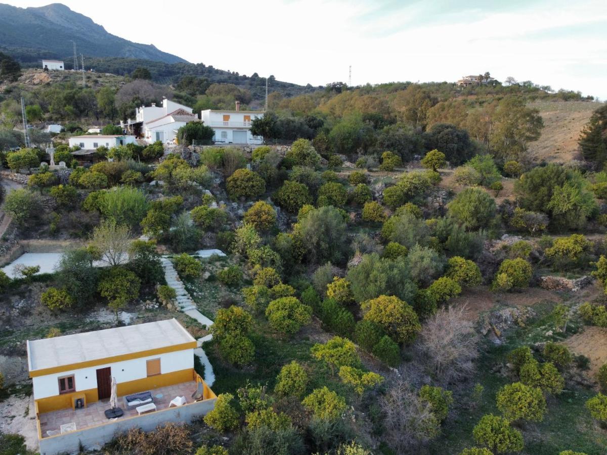 Finca Martina Apartment Casarabonela ภายนอก รูปภาพ