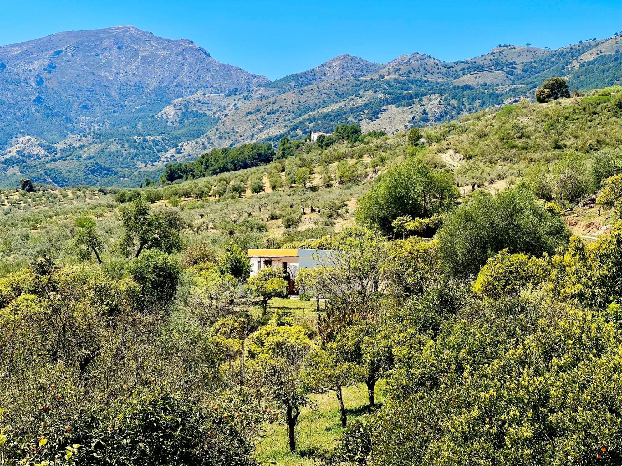Finca Martina Apartment Casarabonela ภายนอก รูปภาพ